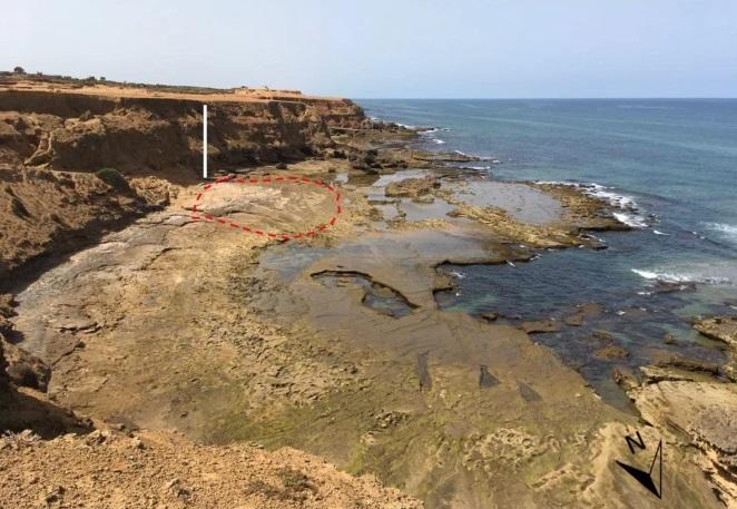 古人類腳印位置。(互聯網)