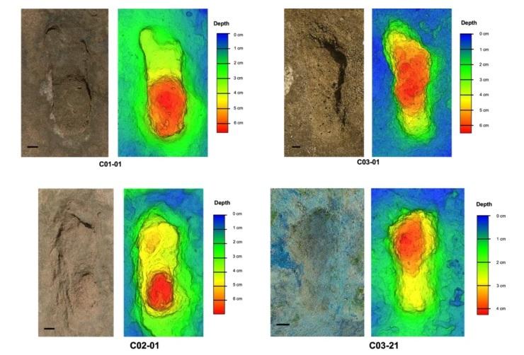 古人類腳印分析。(互聯網)