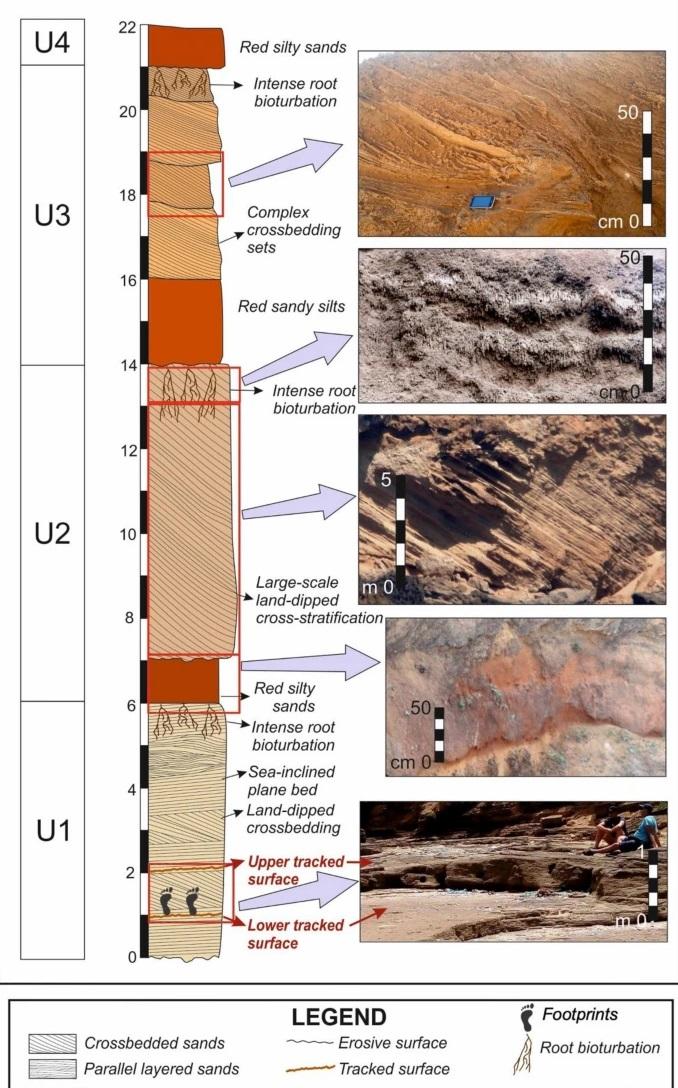 古人類腳印位置地質分析。(互聯網)
