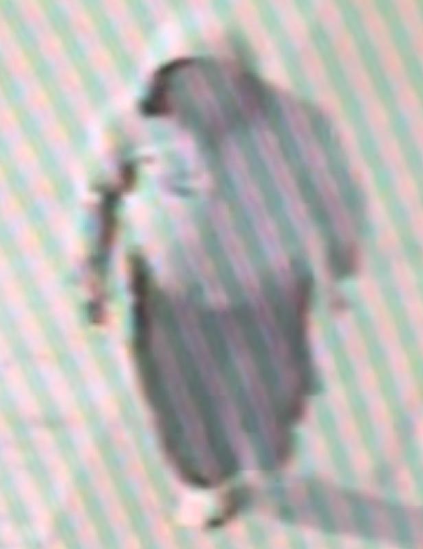 61歲男子古晉堯於2月10日在上水松柏塱最後露面後便告失蹤,其家人2月12日向警方報案,警方今日(20日)呼籲市民提供消息。