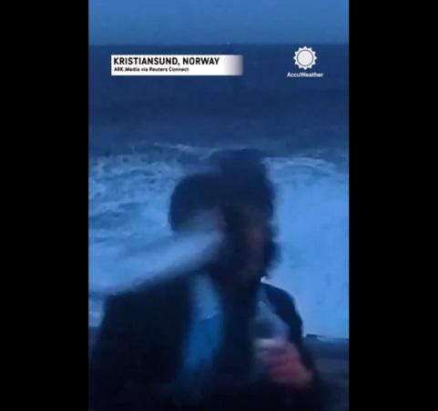 記者在海邊做直播時,飛魚突如其來。(互聯網)