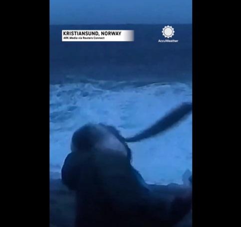 飛魚擊中記者臉部後飛走。(互聯網)