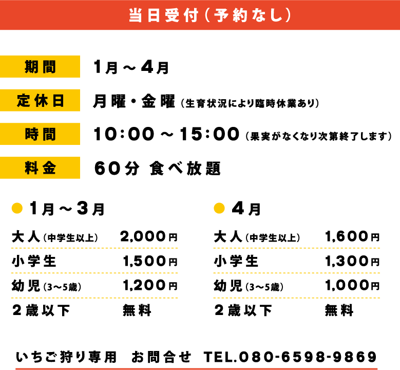 1月至4月更可以摘士多啤梨!(圖片來源: 右田果樹園)