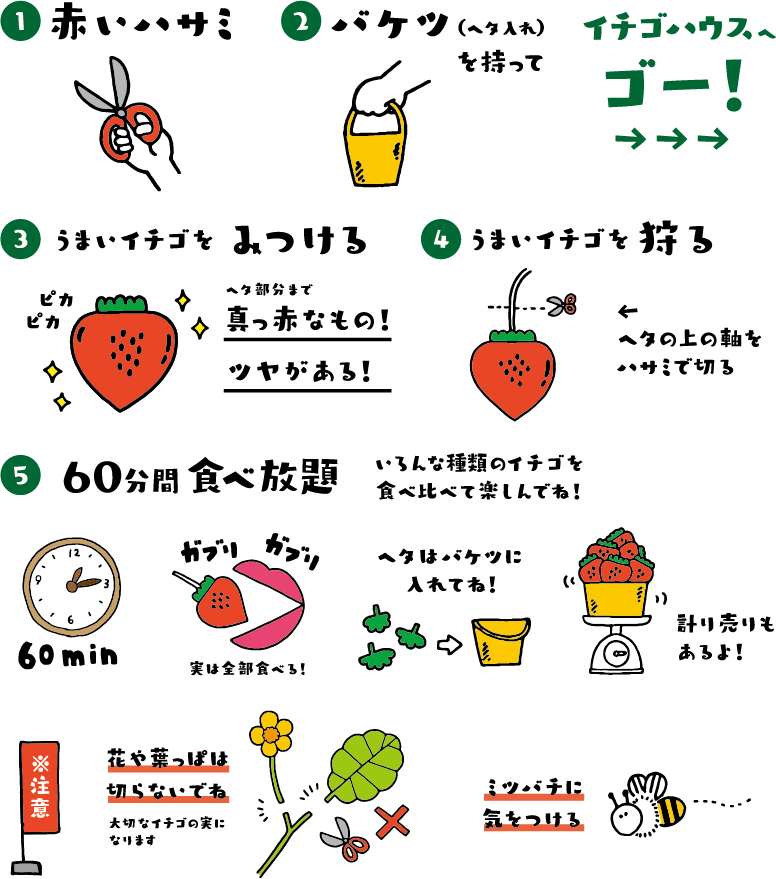 1月至4月更可以摘士多啤梨!(圖片來源: 右田果樹園)