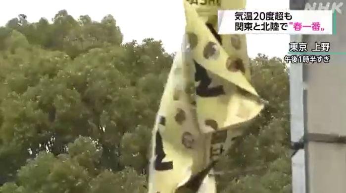 關東地區周四吹起春天從南方吹來的春一番,其中上野的旗幟在和風中飄揚。(互聯網)