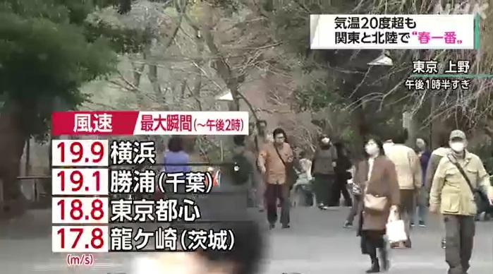 關東地區周四吹起春天從南方吹來的春一番,天氣溫暖。(互聯網)
