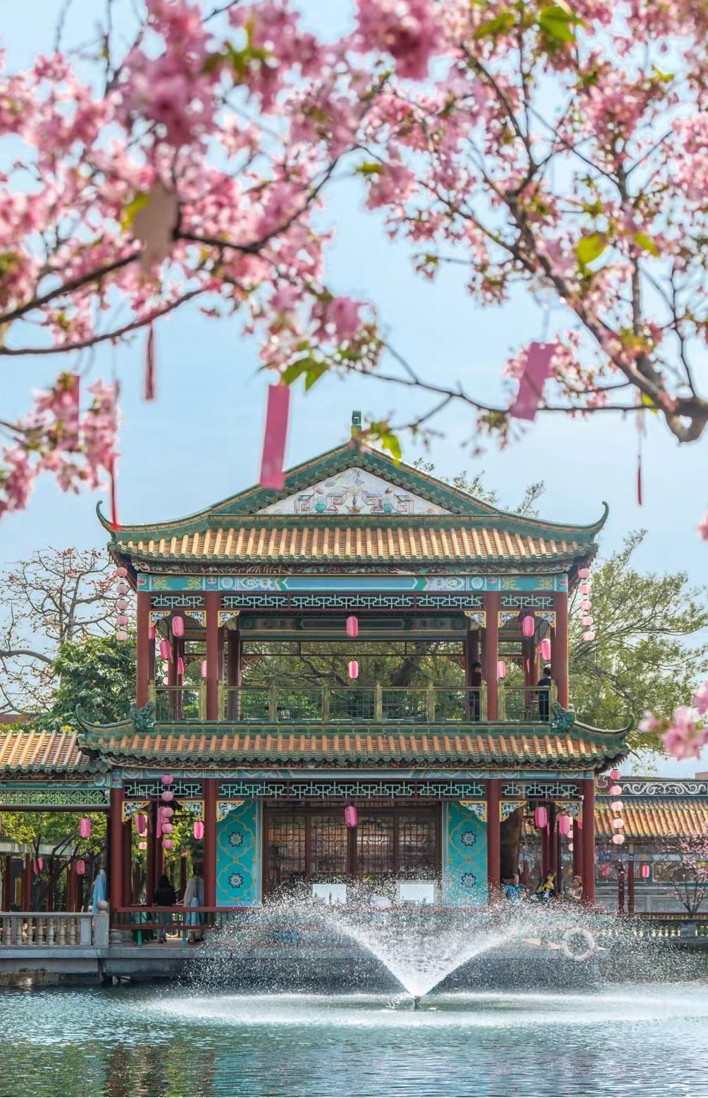 寶墨園內園景有櫻花襯托。(圖片來源:黃三十@小紅書)