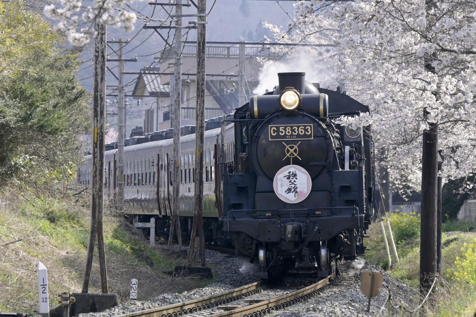 日中線紀念櫻花步道