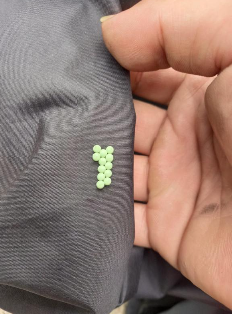 (圖片來源:Facebook@大埔 TAI PO)