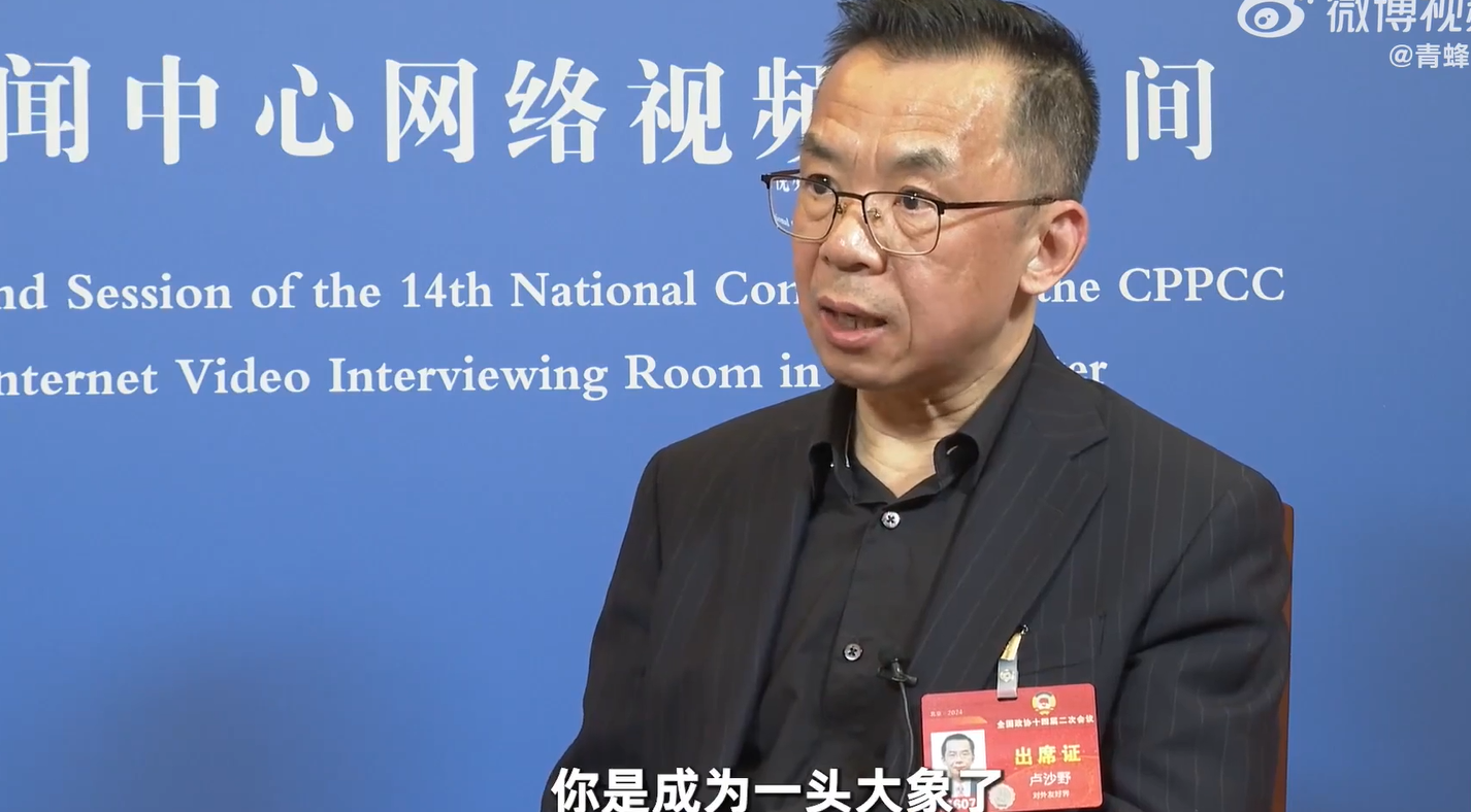 盧沙野接受《中國青年報》旗下媒體平台「青蜂俠」專訪時說,中國不能再韜光養晦。