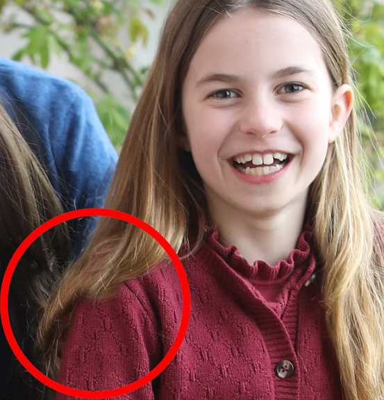 夏洛特的右側肩膀上頭髮及裙子的一角似乎不自然