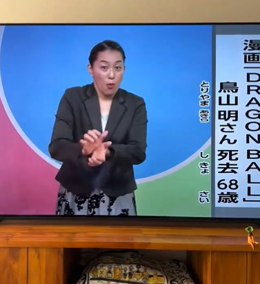日本NHK教育頻道於手語新聞報道有關消息時,直接使出《龍珠》主角孫悟空招式「龜波氣功」來代表《龍珠》,引起熱話。(影片截圖)