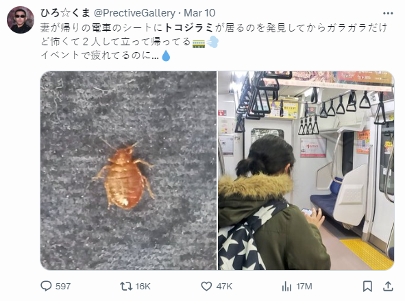 有網民接連在社交平台X上載圖片,指發現座位上有疑似床蝨亂爬。