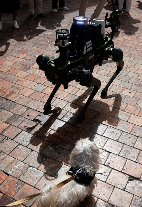 西班牙馬拉加警方展開一項測試,讓機械狗行咇執法。(路透社資料圖片)