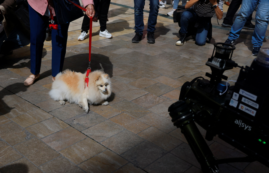 西班牙馬拉加警方展開一項測試,讓機械狗行咇執法。(路透社資料圖片)