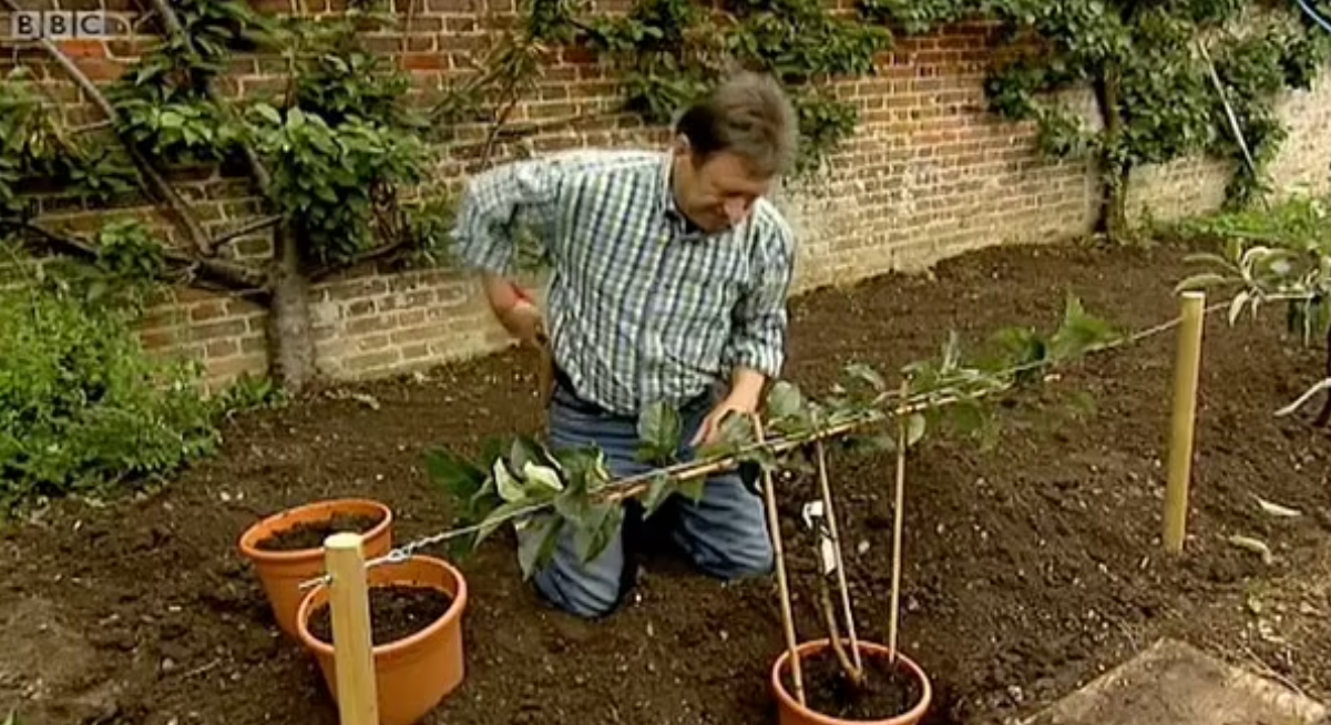 【BBC原版】原版的片段清楚可見主持穿著藍色牛仔褲。(互聯網)