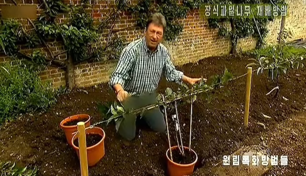 【2022年】北韓中央電視台於2022年播出同一片段時,其實亦有把主持的牛仔褲打格,但當時未受注意。(互聯網)