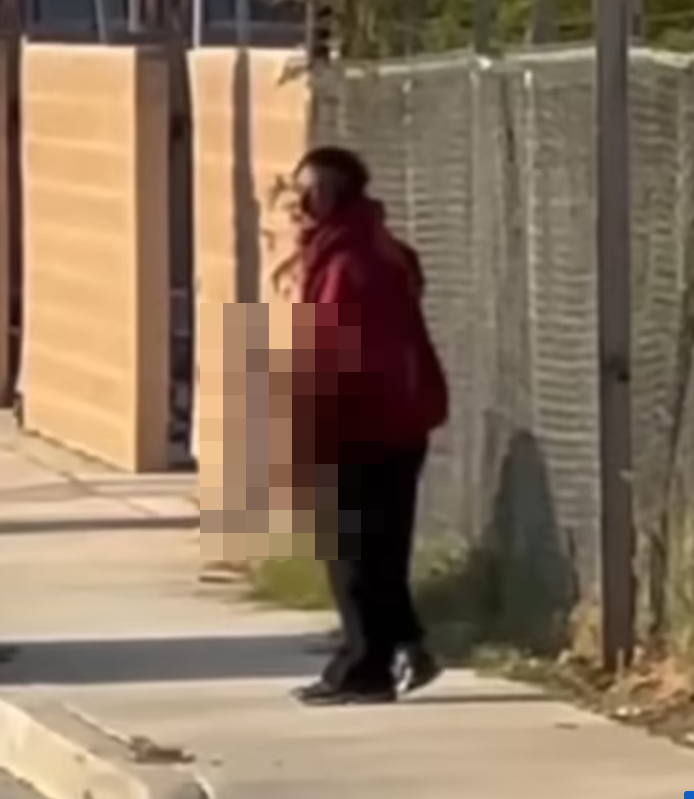 涉事27歲男子特萊茲(Resendo Tellez)懷疑從事故現場拾走殘肢,並當街啃食。(影片截圖)