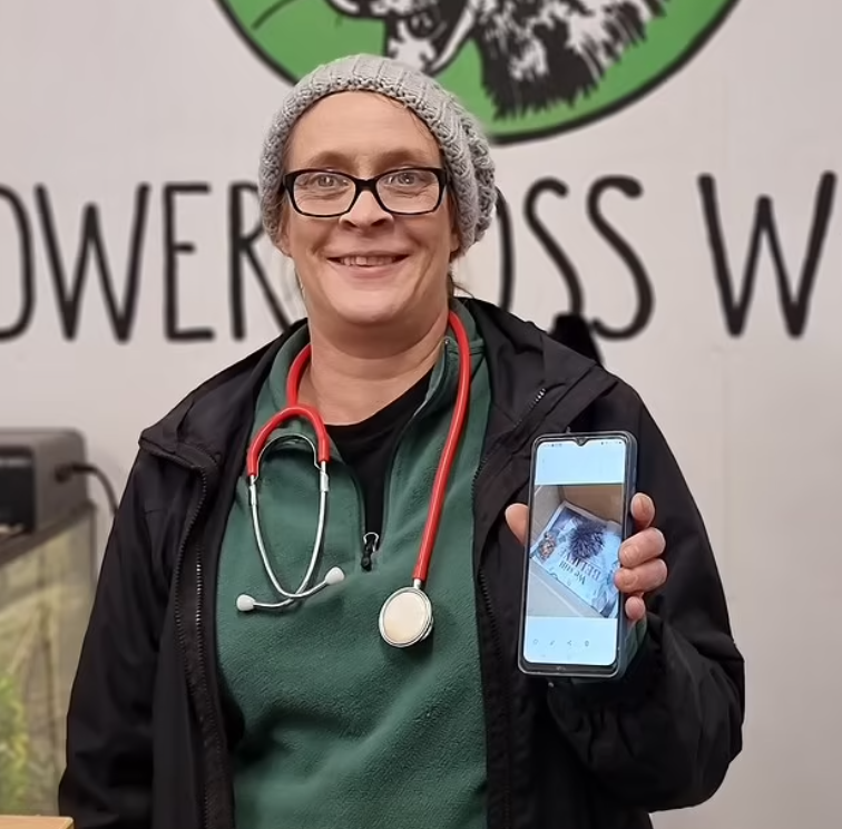 獸醫Kotze展示當日拍下的照片。(互聯網)