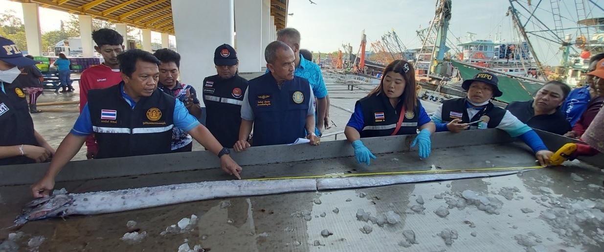 這條皇帶魚身長為2.85米、體重為8.6公斤。(FB)