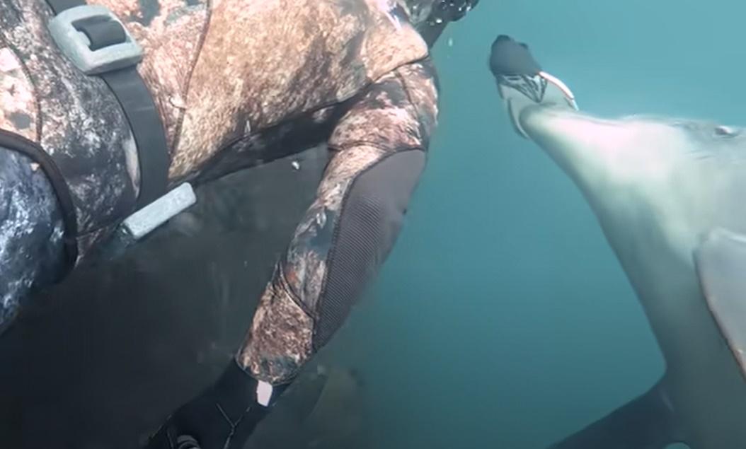 還一直將蛙鞋遞給Evan直至他接收,令他哭笑不得。(YouTube)