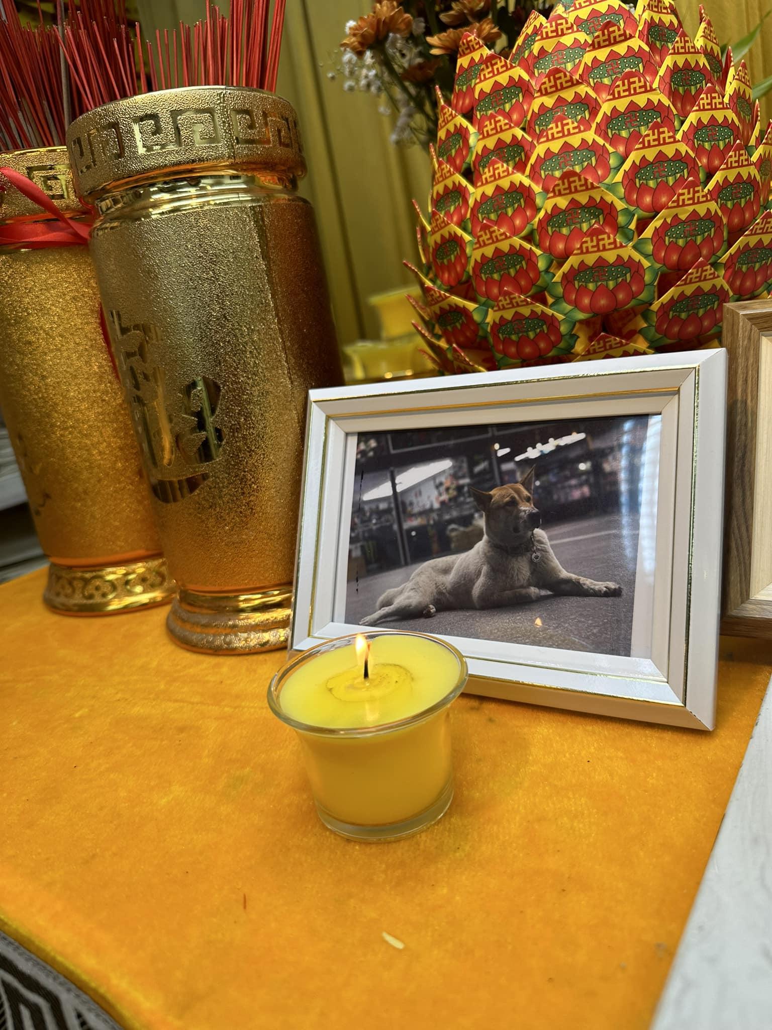 狗主希望警方盡快捉拿涉事司機,還狗狗一個交代。(毛孩關愛組@FB)