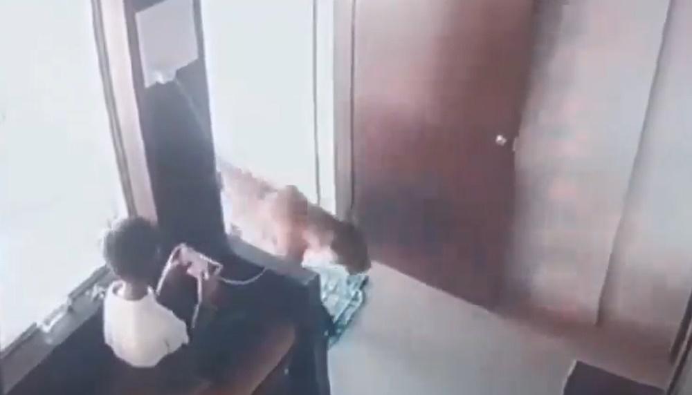 男童坐在大堂售票處的長椅上玩手機,詎料一隻花豹突然進來,距離幾乎只有一呎。(X)