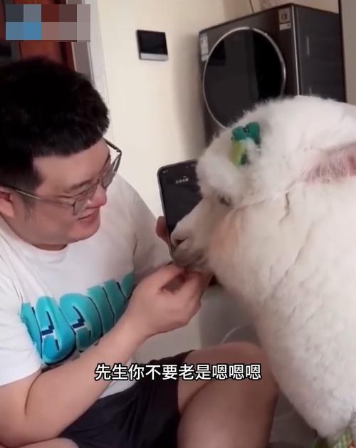 騙徒被激得破口大罵:「先生你不要老是嗯嗯嗯」、「嗯你X,你只會嗯嗎?」令草泥馬更顯無辜。(微博)