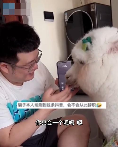 騙徒被激得破口大罵:「先生你不要老是嗯嗯嗯」、「嗯你X,你只會嗯嗎?」令草泥馬更顯無辜。(微博)