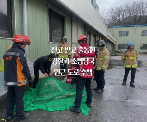 警員及消防最後在城南市大院洞一個工地捕獲Tadori,將牠送返生態園區。(X)