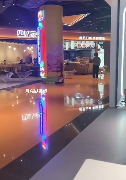 影片顯示,多隻哈士奇兵分多路跑向商場的不同角落,所到之處都令途人發出驚叫聲。(微博)