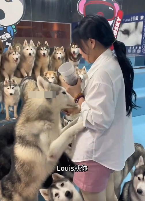 晚餐雞脾被扣起作為象徵性的懲罰。(微博)