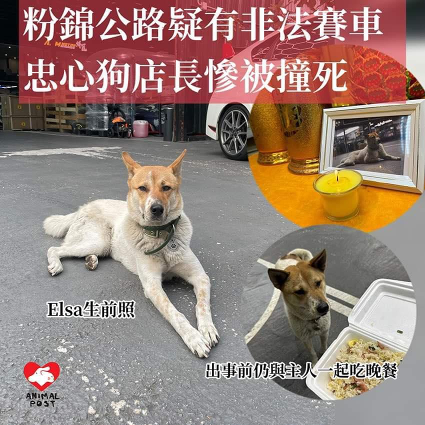 《香港動物報》(Hong Kong Animal Post)周三(21日)報道。