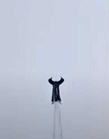 黑色物體一邊飛一邊上下擺動不知是雙臂還是翅膀的部位,後面拖著一道像是氣體的尾巴。(YouTube)