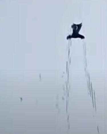 黑色物體一邊飛一邊上下擺動不知是雙臂還是翅膀的部位,後面拖著一道像是氣體的尾巴。(YouTube)