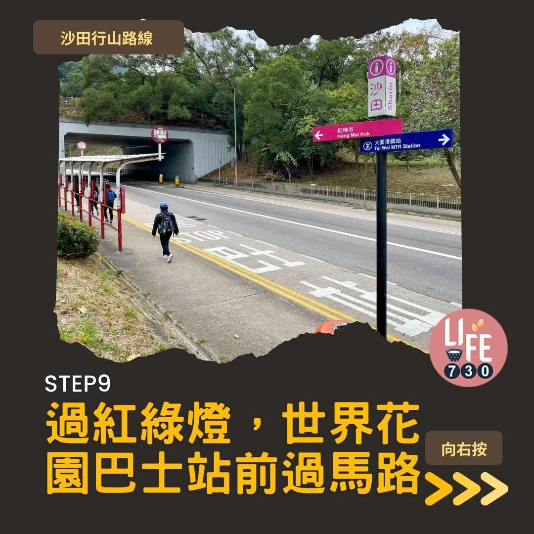 沙田行山路線︱望夫石鄰近市區 難度不高親子之選(am730製圖)