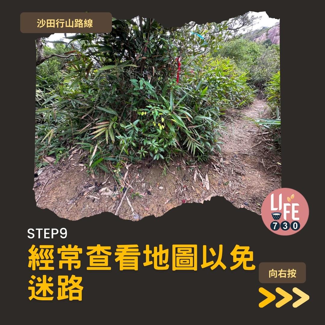 沙田行山|水泉澳去慈雲山 中級路線有攀爬位(am730製圖)
