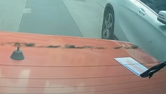 更有數張投注飛遺留在車尾冚上被捲走。(facebook群組「馬路的事討論區」影片截圖)