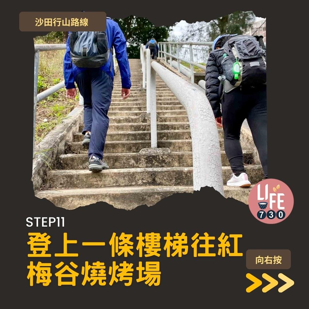 沙田行山路線︱望夫石鄰近市區 難度不高親子之選(am730製圖)