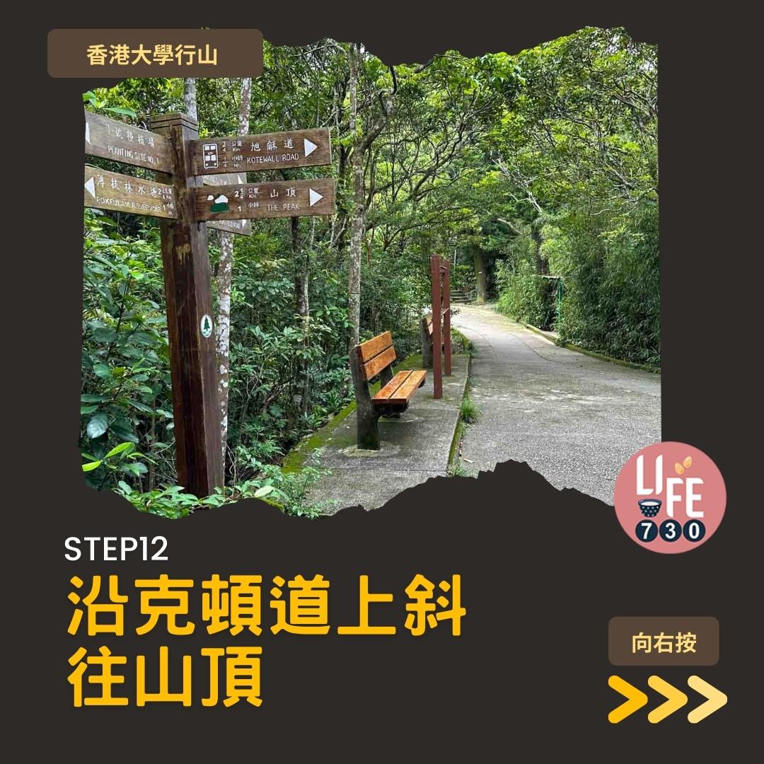 港大行山路線︱龍虎山上盧吉道接纜車徑 香港島好去處(am730製圖)
