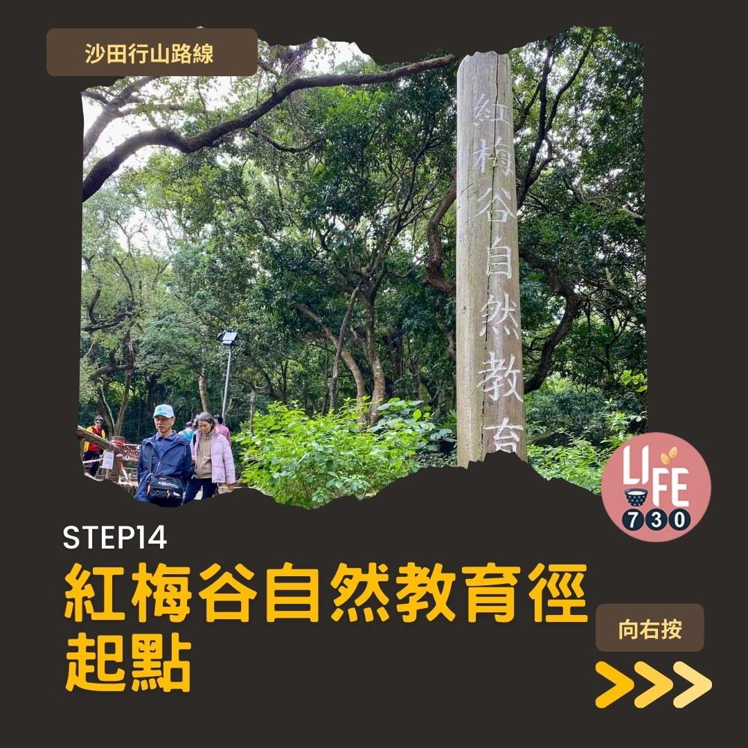 沙田行山路線︱望夫石鄰近市區 難度不高親子之選(am730製圖)