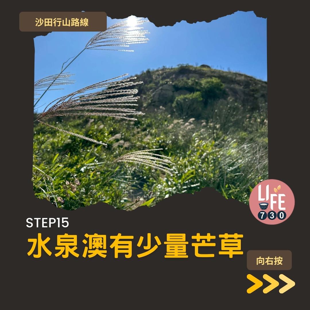 沙田行山|水泉澳去慈雲山 中級路線有攀爬位(am730製圖)