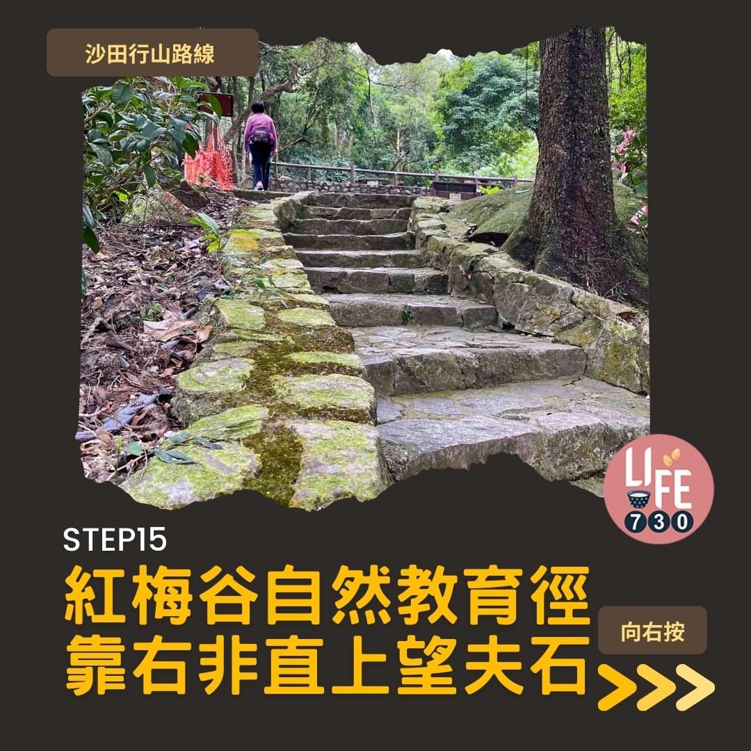 沙田行山路線︱望夫石鄰近市區 難度不高親子之選(am730製圖)