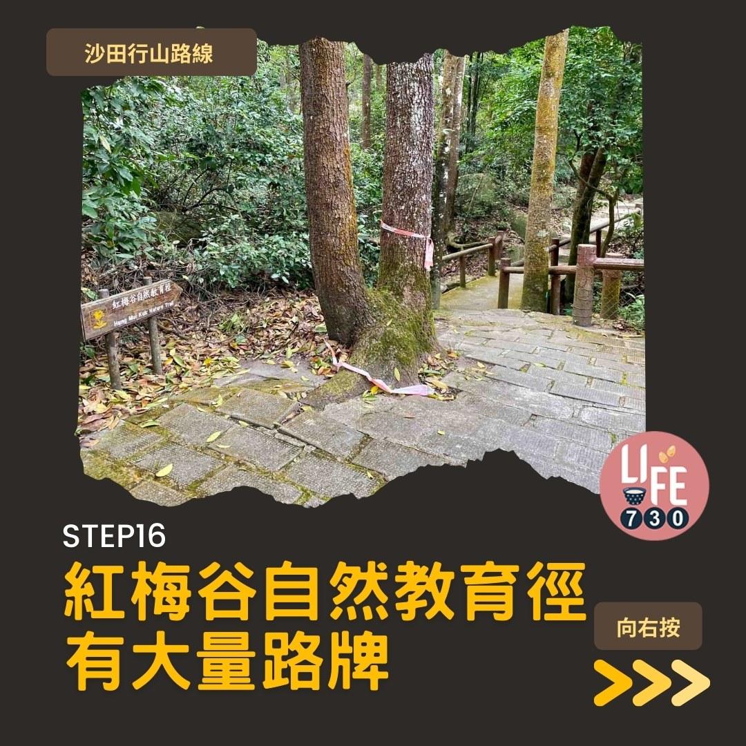 沙田行山路線︱望夫石鄰近市區 難度不高親子之選(am730製圖)