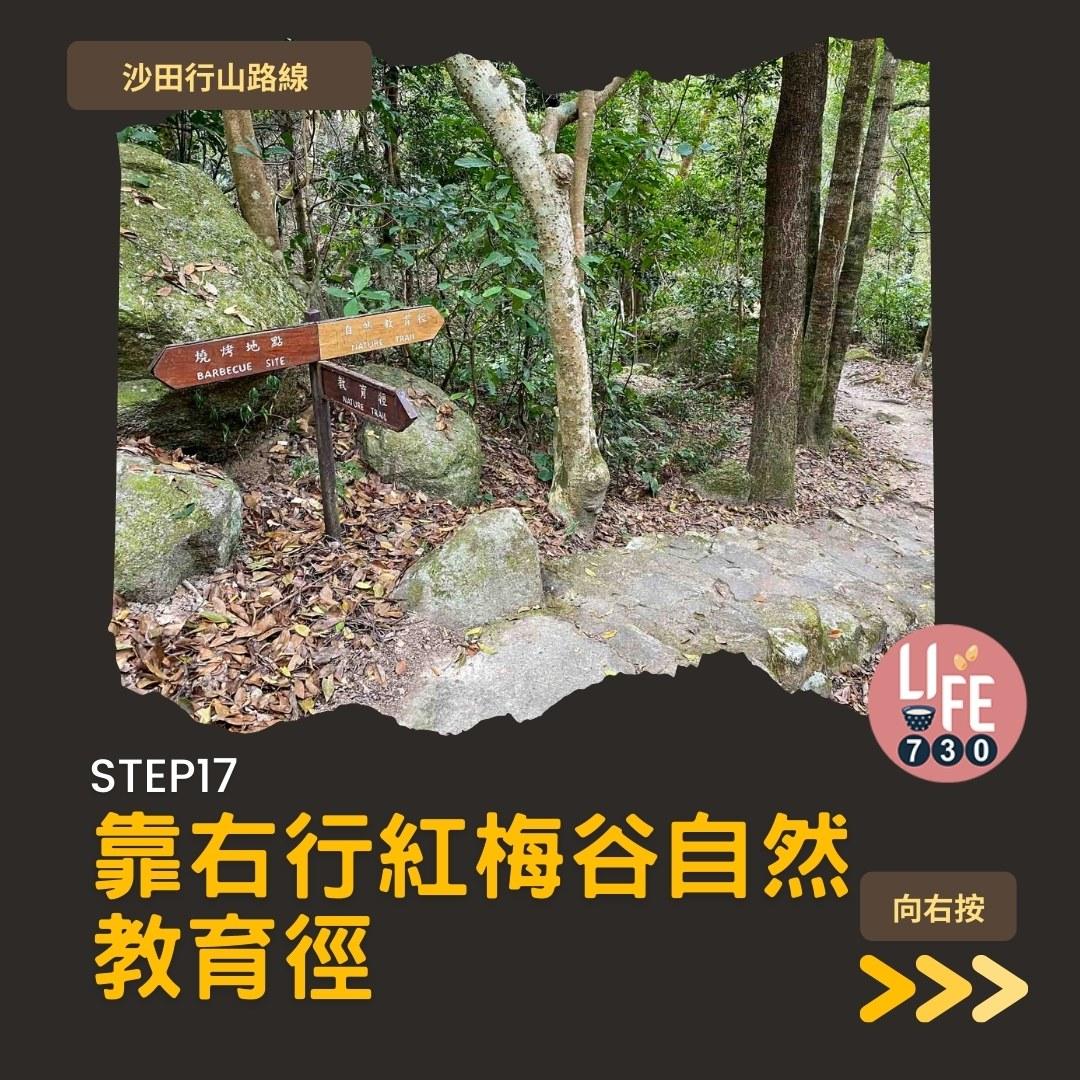 沙田行山路線︱望夫石鄰近市區 難度不高親子之選(am730製圖)