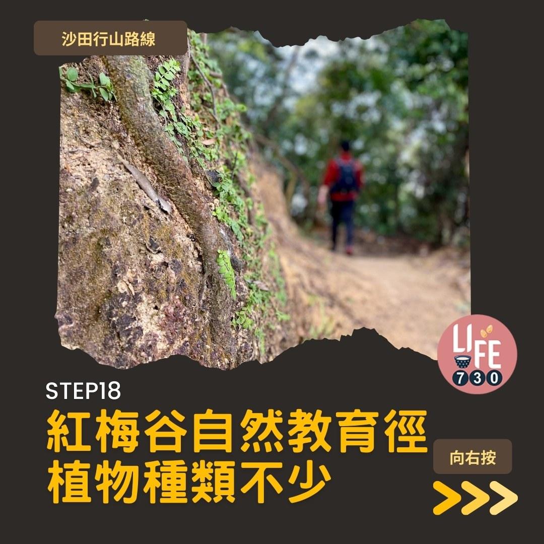 沙田行山路線︱望夫石鄰近市區 難度不高親子之選(am730製圖)