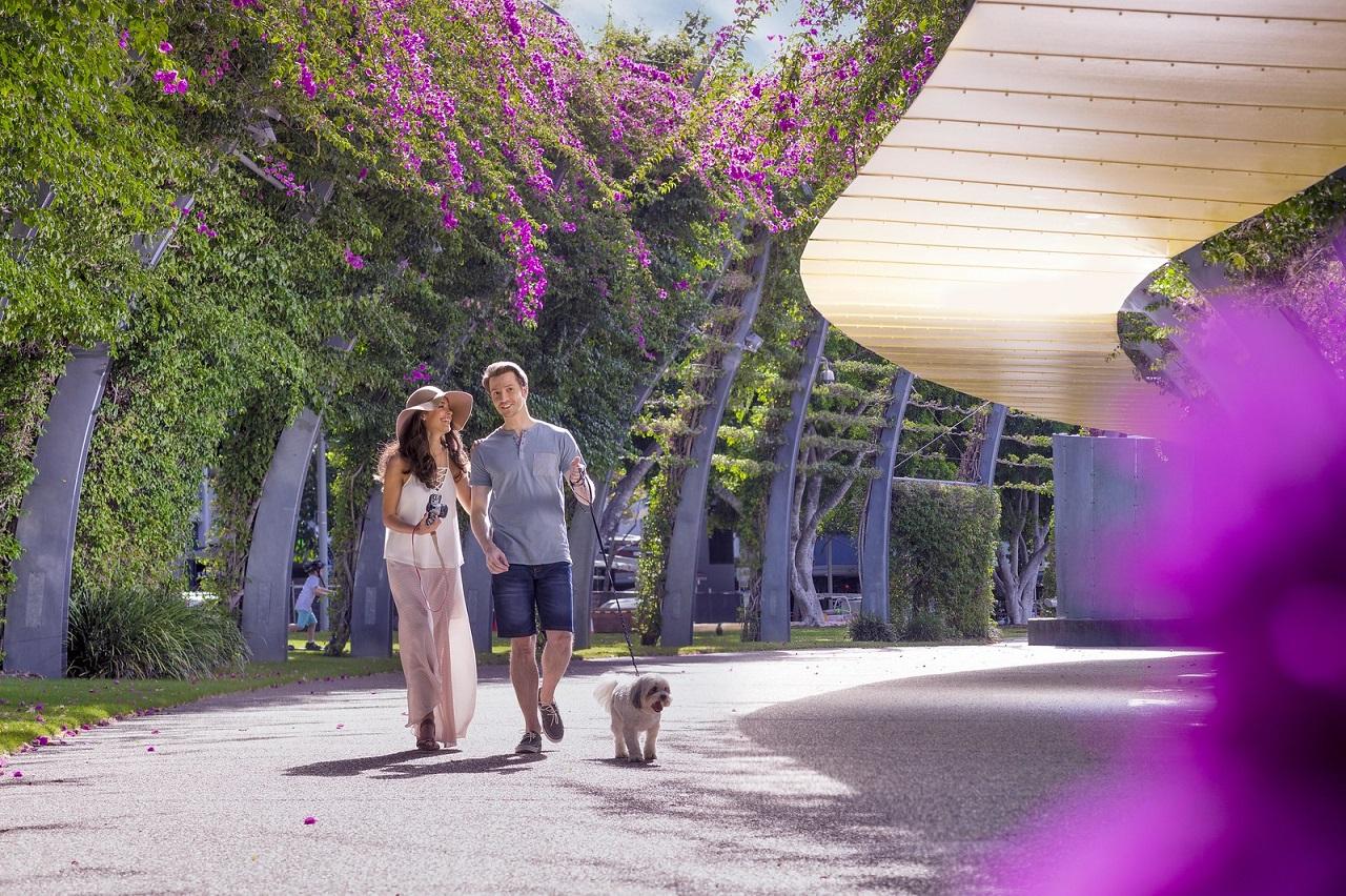 南岸公園South Bank Parklands