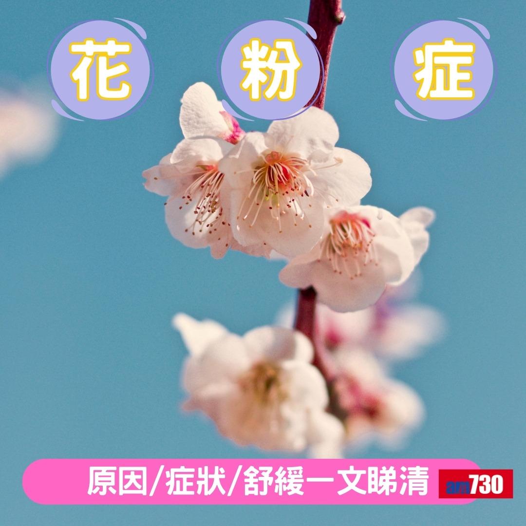 花粉症原因、症狀及舒緩方法(am730製圖)
