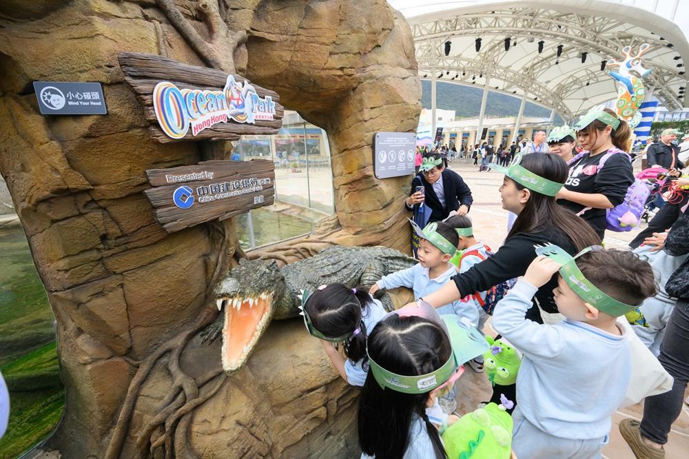 海洋公園鱷魚「百香果」首日與公眾見面。(海洋公園提供圖片)