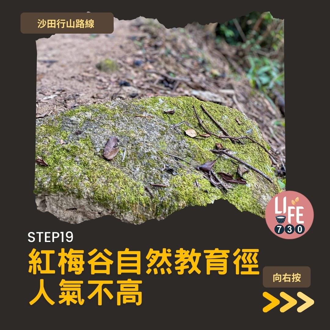 沙田行山路線︱望夫石鄰近市區 難度不高親子之選(am730製圖)